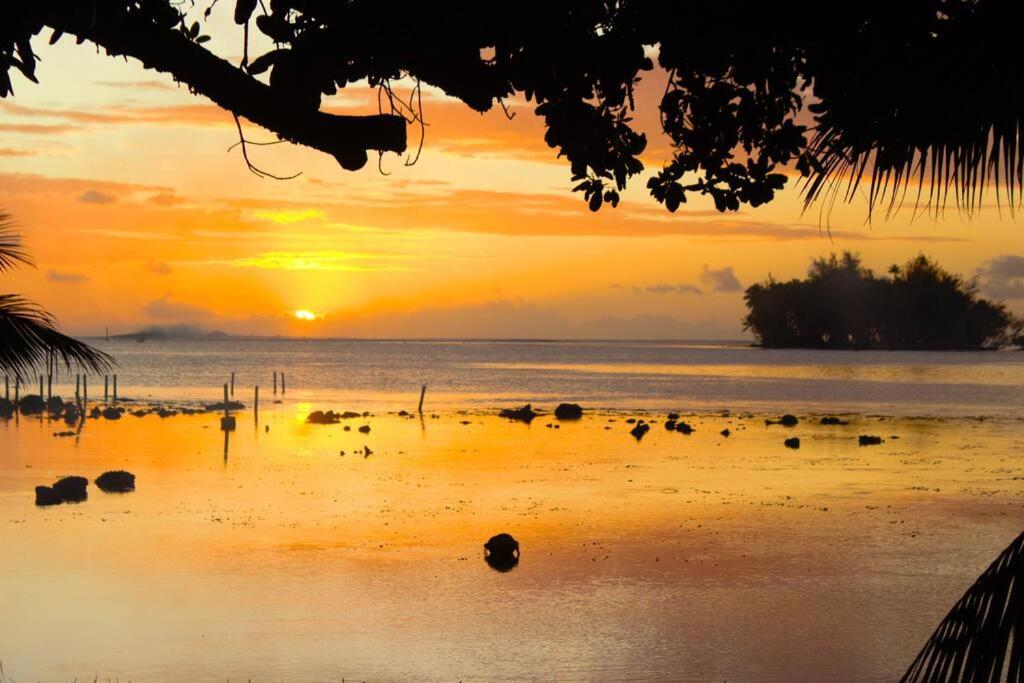 Bungalow Tiarii, Avec Acces Direct A Une Plage Privee Tevaitoa Exteriör bild